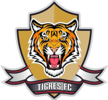 錫帕基拉老虎首發陣容
