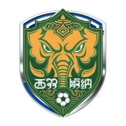 西雙版納隊(duì)首發(fā)陣容