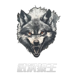 武漢狼王首發(fā)陣容
