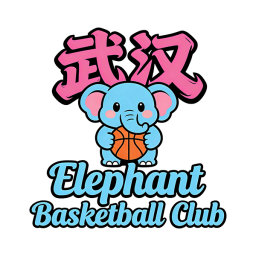 武漢大象籃球首發(fā)陣容