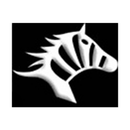 武漢斑馬首發(fā)陣容