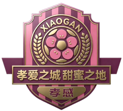 孝感隊首發陣容